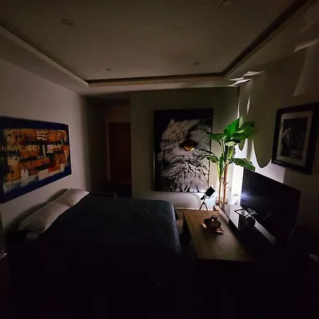 A Cosy Modern Appartamento *